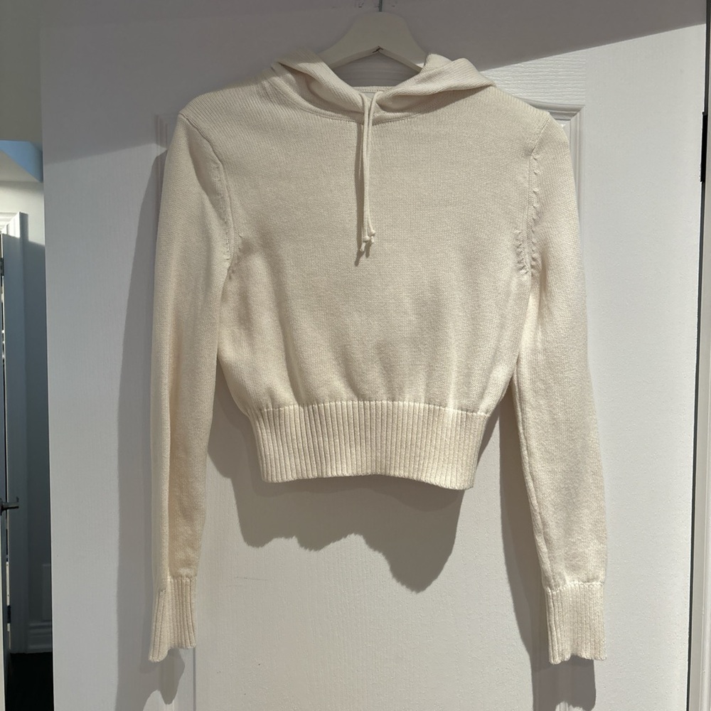 Aritzia Sunday Best Spice Hoodie